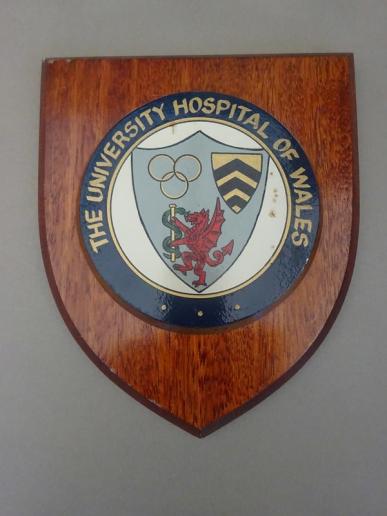 The University Hospital of Wales,wall plaque