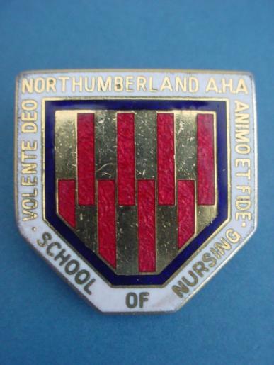 Northumberland AHA School of Nursing Nurses Badge