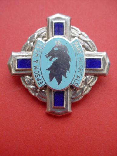 Epsom & West Park Hospitals Silver Nurses Badge