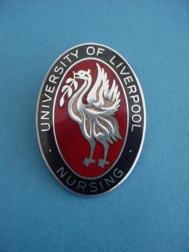 Liverpool University Silver Nursing Badge