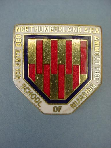 Northumberland Area Health Authority School of Nursing Badge