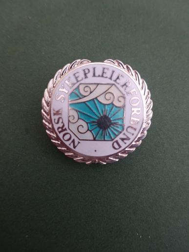 Norwegian Nurses Association,silver Nurses Badge