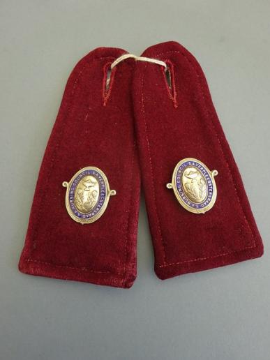 Pair of South African Nursing Council Epaulettes and silver badges.
