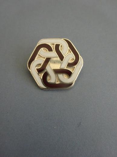 Princess Alexandra College of Nursing,Silver Nurses badge