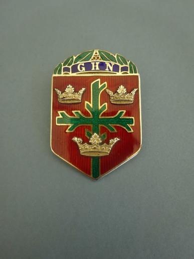 General Hospital Nottingham,Silver Nurses Badge