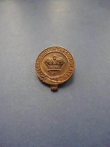 Royal Hospital & Home For Incurables,Putney,Nurses Badge