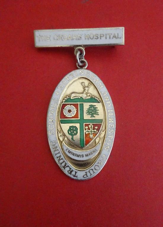 The Cedars Hospital Nottingham, Silver Nurses Badge