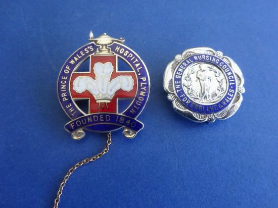 The Prince of Wales's Hospital,Plymouth Nursing badge pair