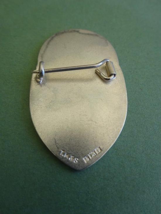 Crichton Royal Dumfries,Silver RMN badge
