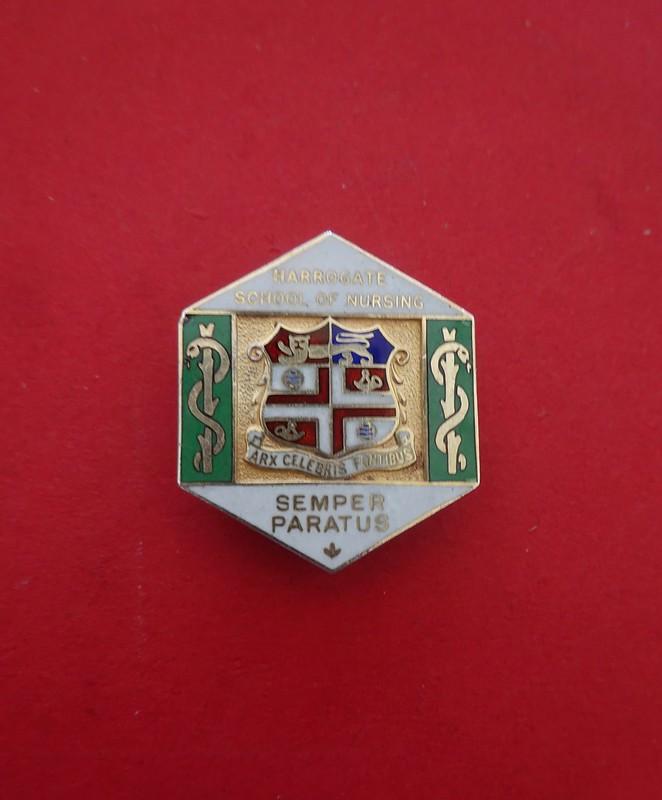 Harrogate School of Nursing,Silver Enrolled Nurses badge