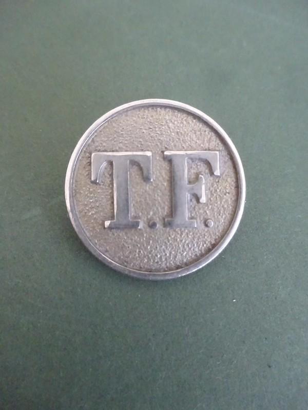 Territorial Force Nursing Service,Rare button badge