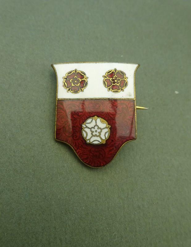 Royal South Hants Hospital,Southampton ,Nurses League badge, second pattern