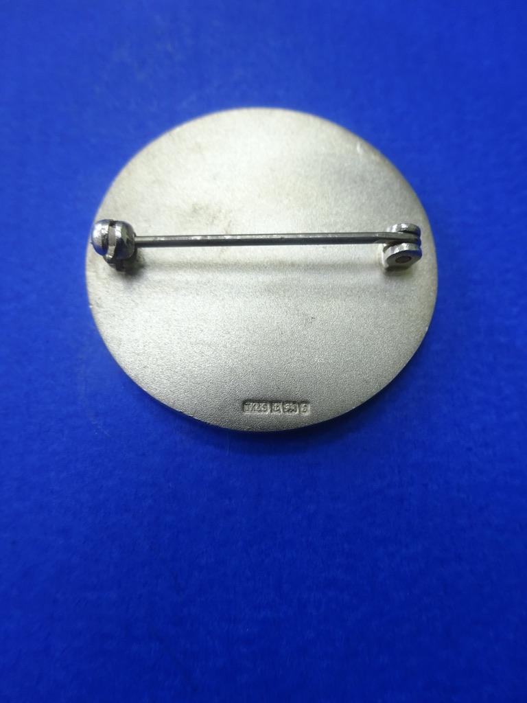 The Birmingham College of Nurse Education,,Silver Nurses Badge