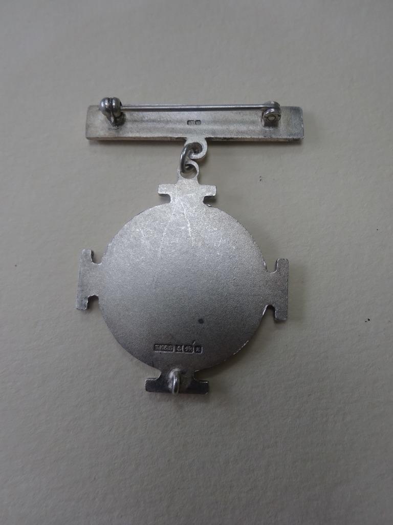 Gwent School of Nursing, Llanfrechfa Grange, Silver RNLD badge