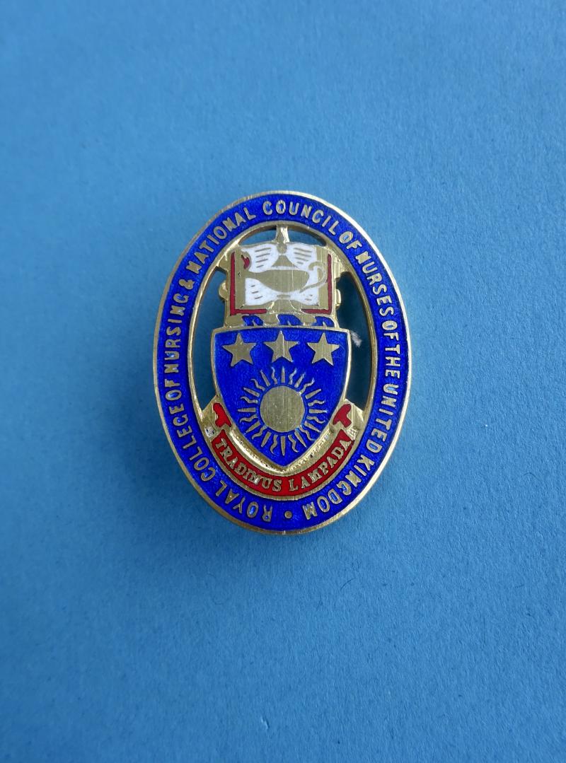 Royal College of Nursing and National Council of Nurses of the United Kingdom,Silver Members Badge