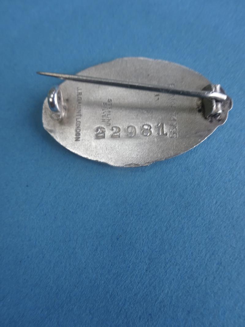 College of Nursing,silver Members badge