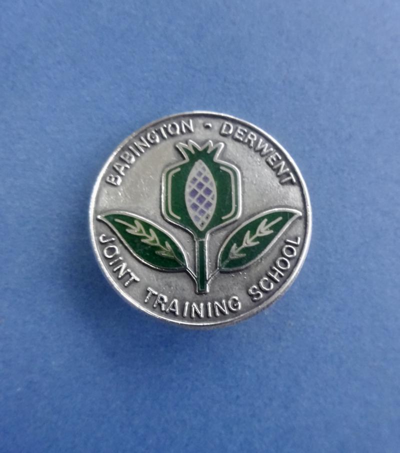 Babington & Derwent Joint Training School, silver Enrolled Nurses badge