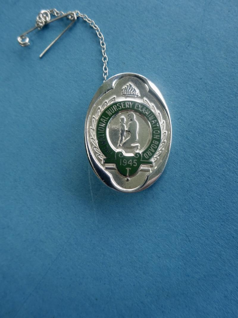 The National Nursery Nurse Training Board, Silver Nursery Nurse Badge
