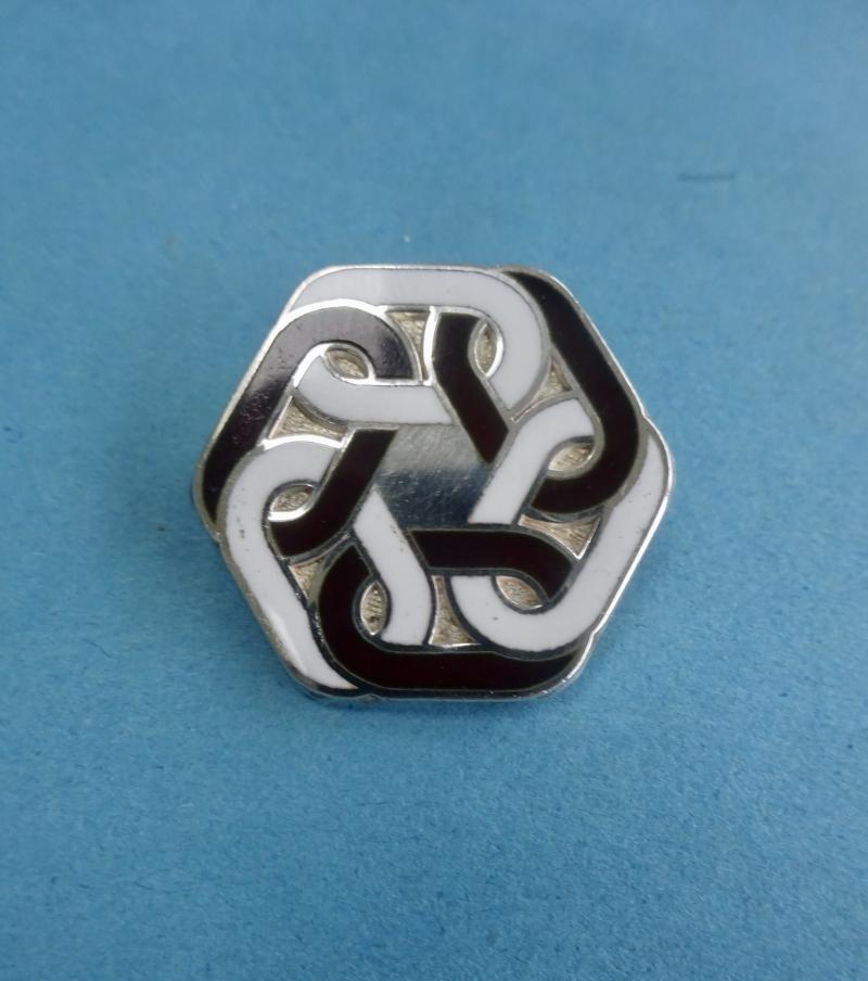 Princess Alexandra College of Nursing, Silver Nurses badge