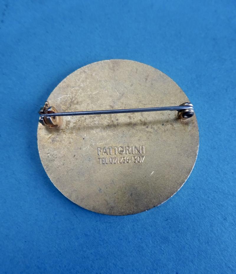 Charing Cross Hospital Clinical Nursing Studies,Nurses Badge