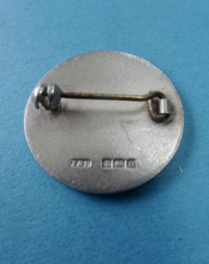 The Hospital For Sick Children Great Ormond Street London,Silver Nurses Badge