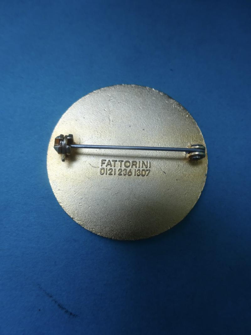 Chester College School of Nursing & Midwifery, Nurses Badge