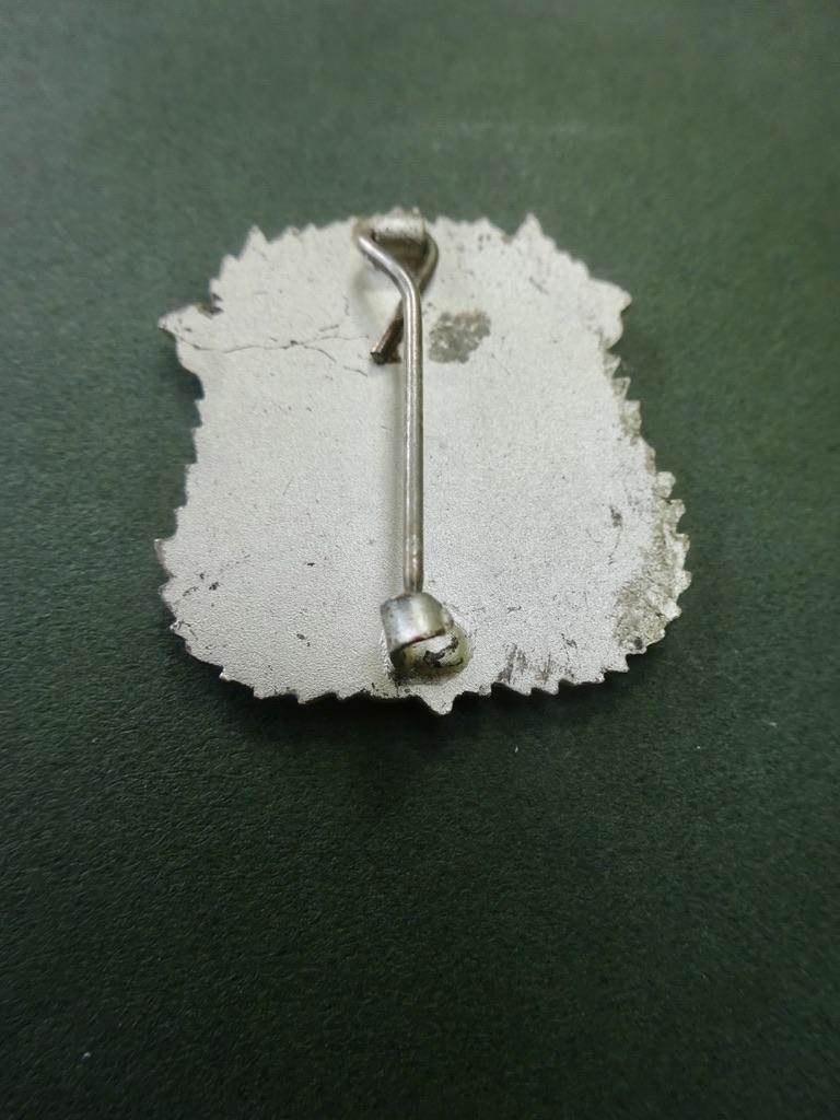 The Royal Hospital For Sick Children Edinburgh, Nurses Badge