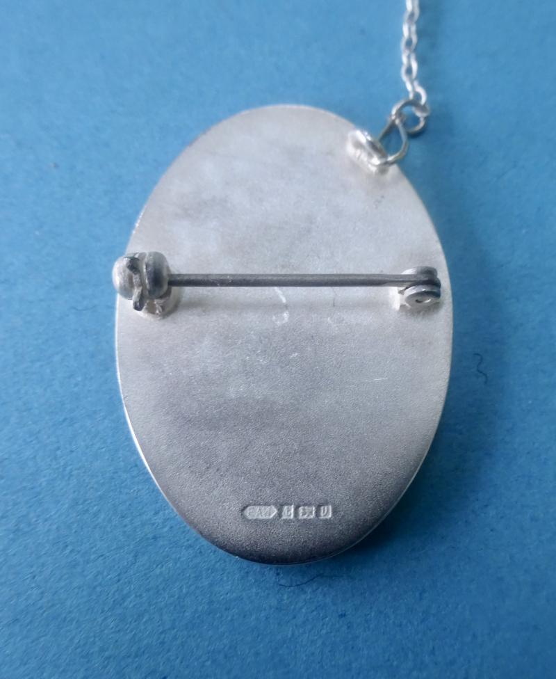 Coventry & Warwickshire College of Nursing & Midwifery, silver Nurses badge